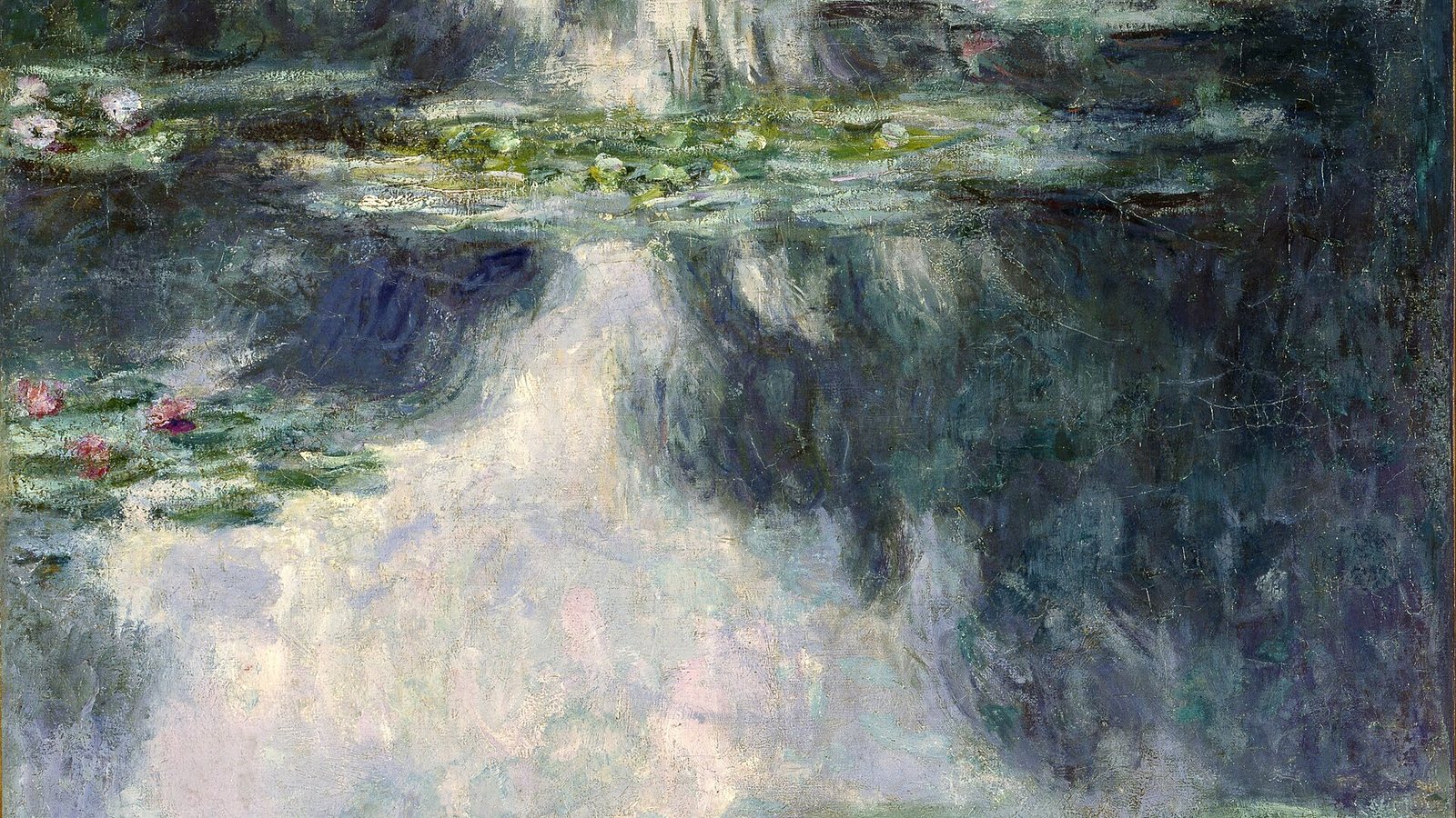 Water lilies printed on cotton rag, photographed in daylight