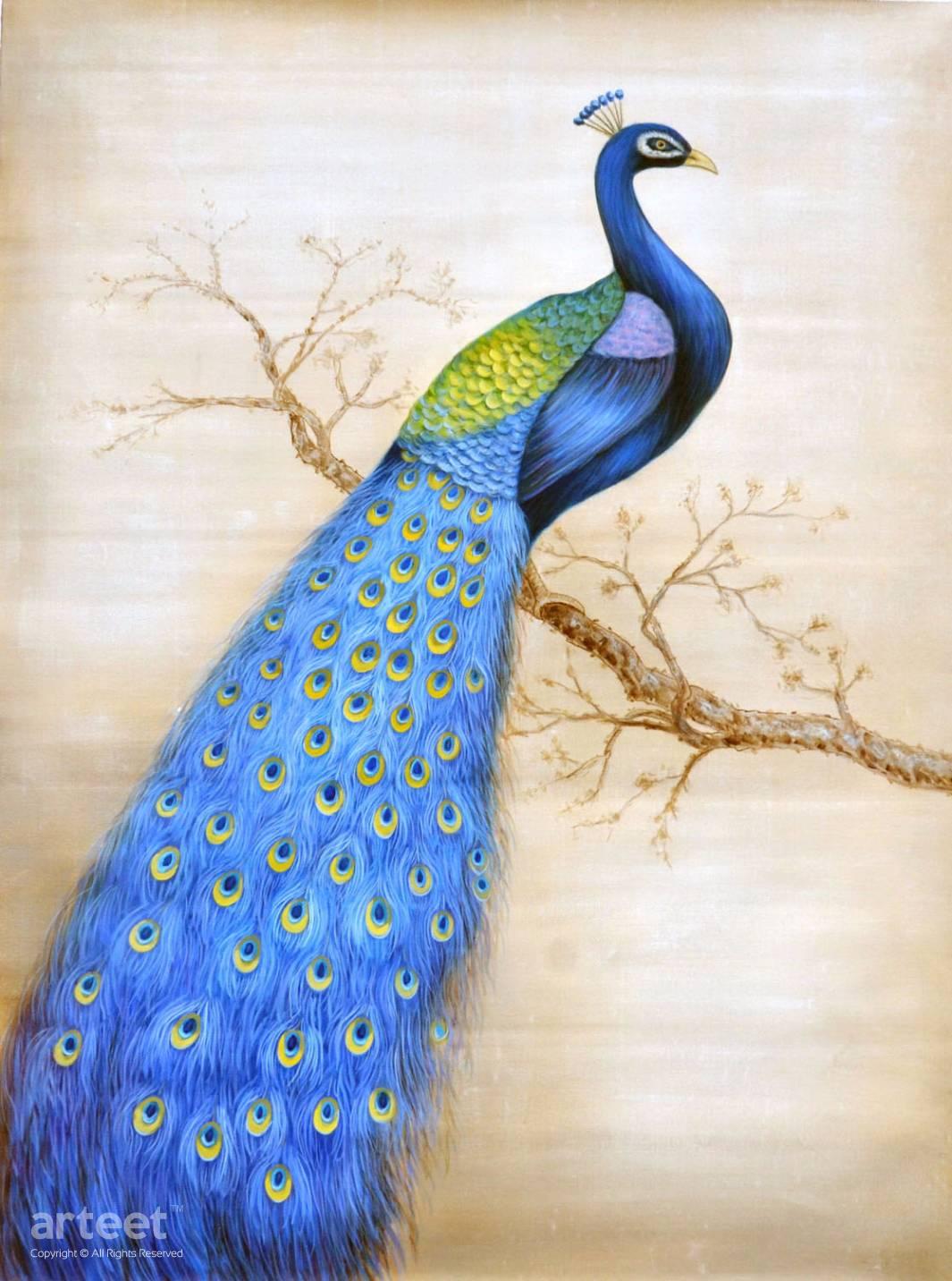 Mr Peacock | Art Paintings for Sale, Online Gallery