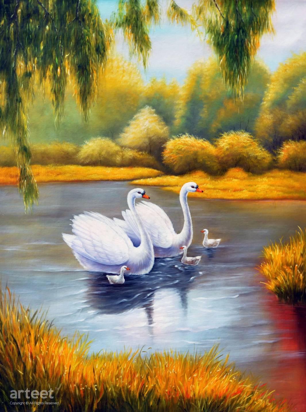 swan paintings